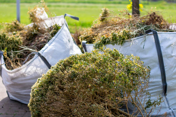 Best Full-Service Junk Removal  in Nitro, WV
